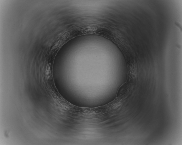 X0000101210818200807111031