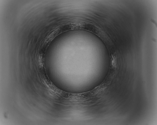 X0000101210819200807111031