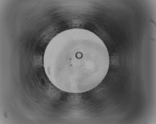 X0000101210820200807111031