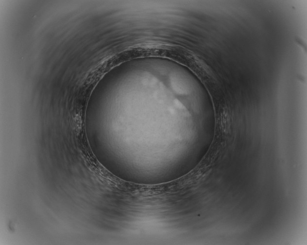 X0000101210821200807111031