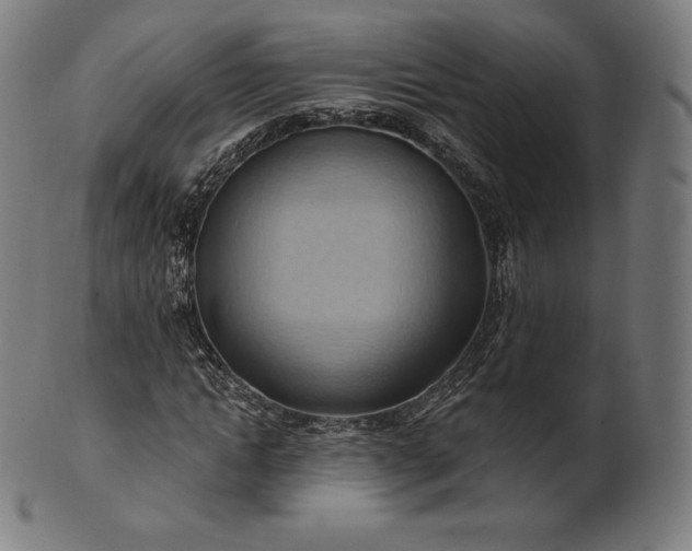 X0000101210822200807111031