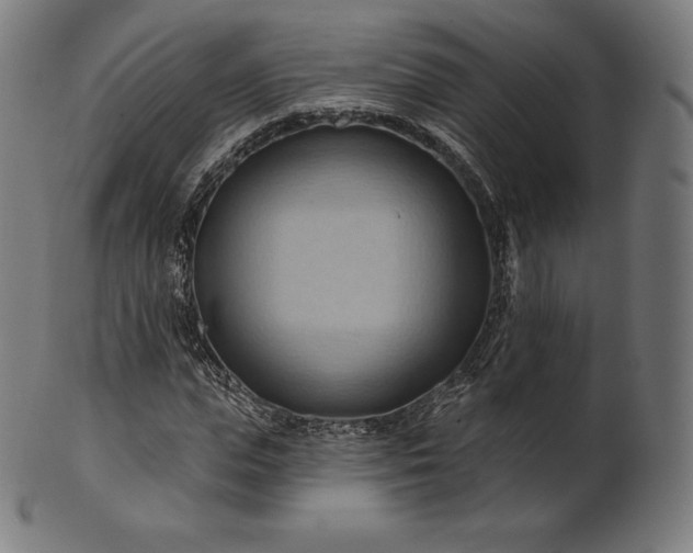 X0000101210823200807111031