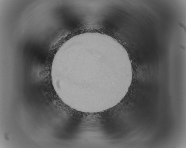 X0000101210824200807111031