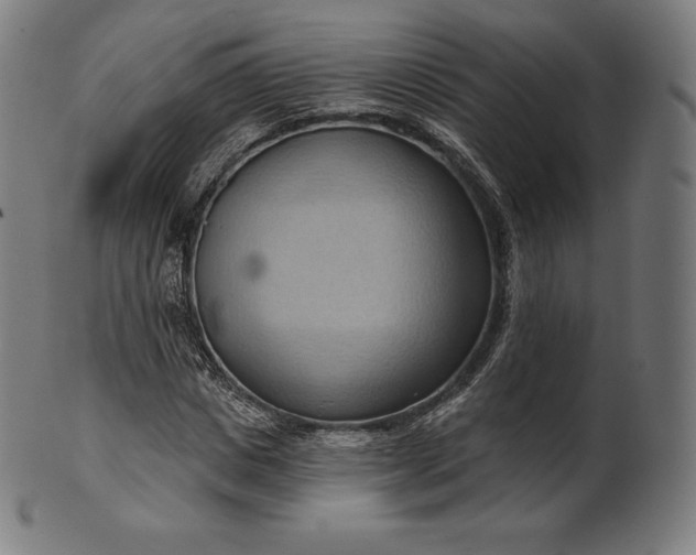 X0000101210825200807111031