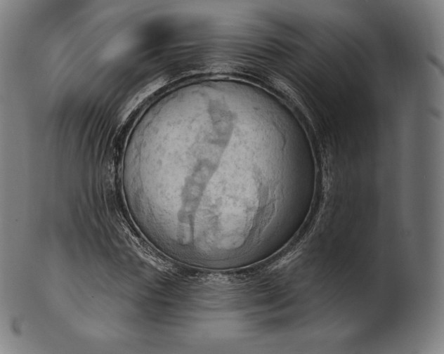 X0000101210827200807111031