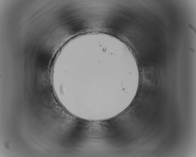 X0000101210828200807111031