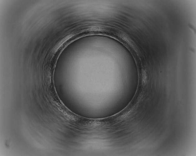 X0000101210829200807111031