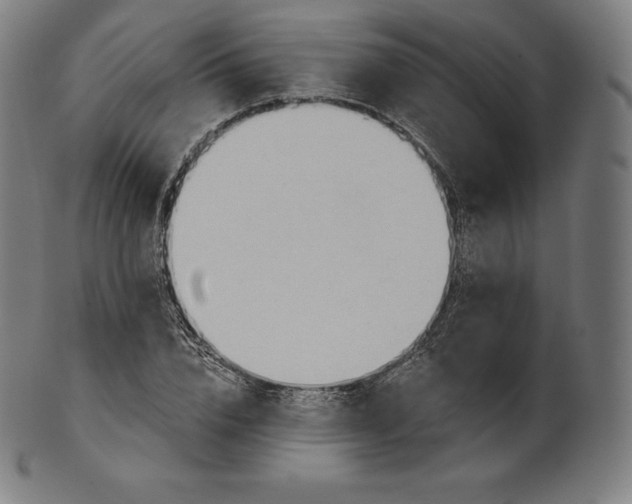 X0000101210832200807111031