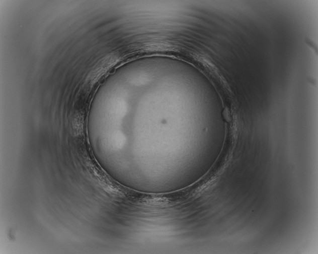 X0000101210833200807111031