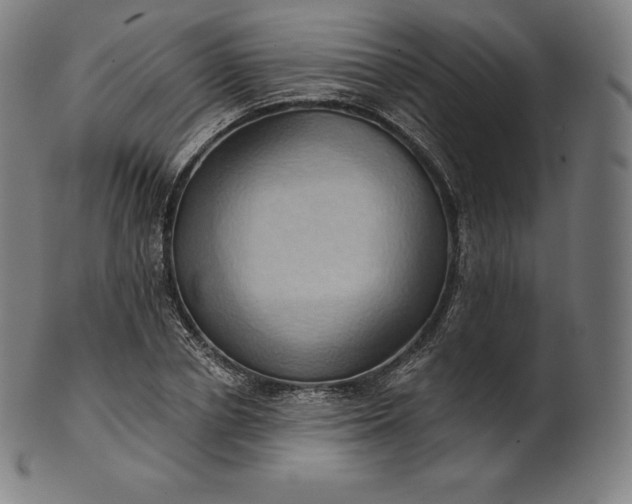 X0000101210834200807111031