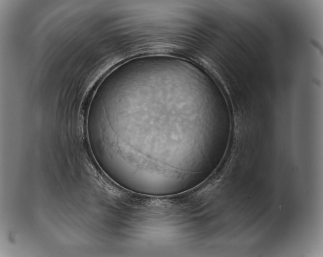 X0000101210835200807111031