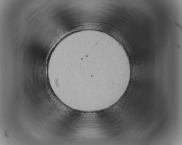 X0000101210836200807111031