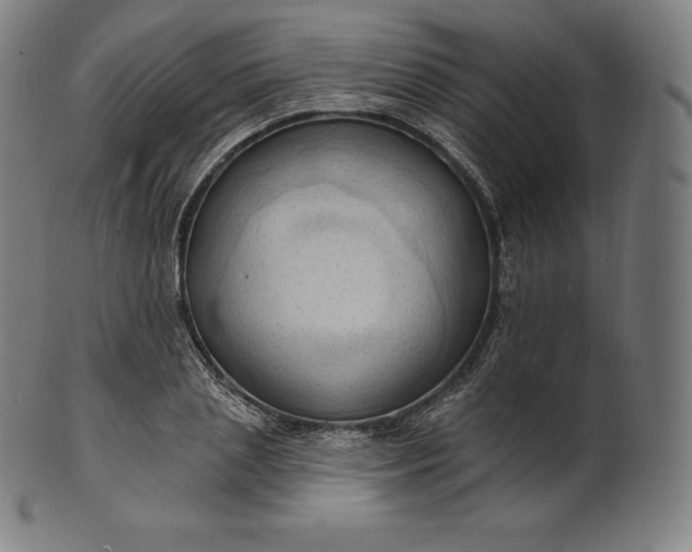 X0000101210837200807111031