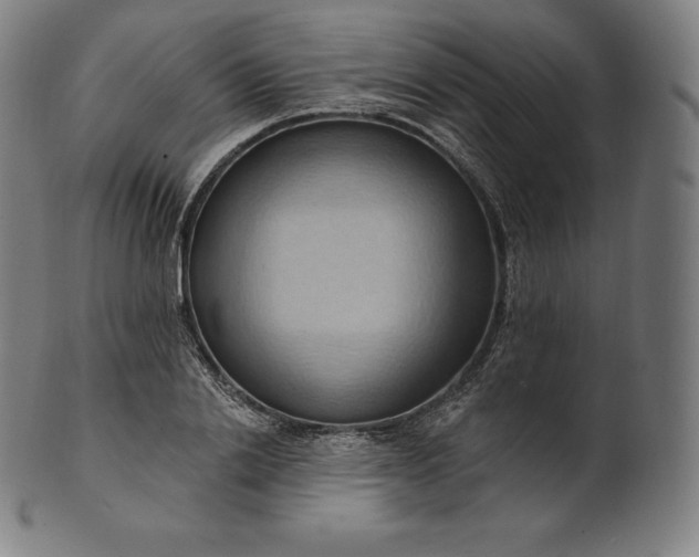 X0000101210838200807111031