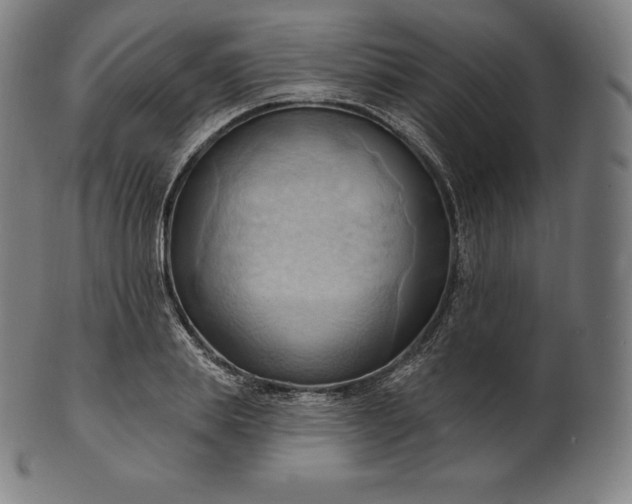 X0000101210839200807111031