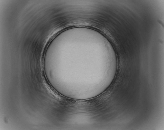 X0000101210840200807111031