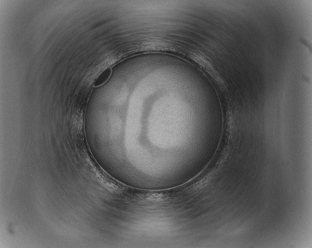 X0000101210841200807111031