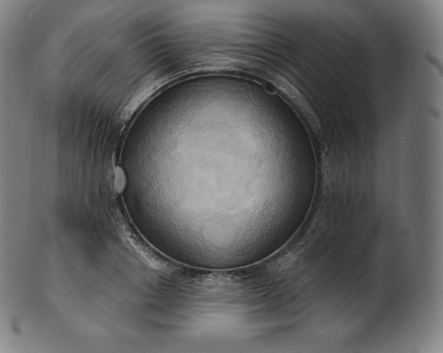 X0000101210842200807111031