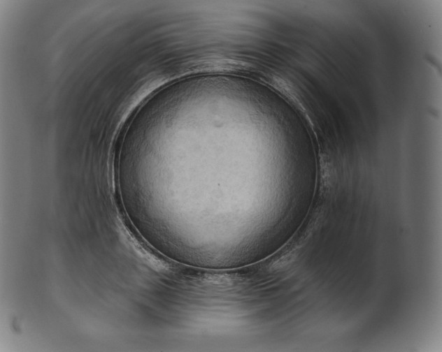 X0000101210843200807111031