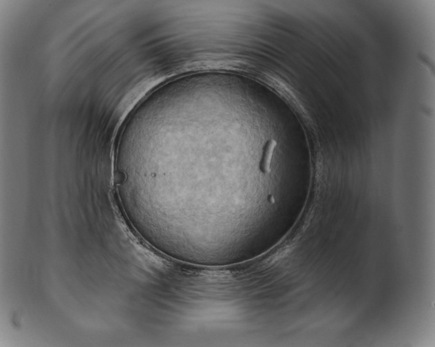 X0000101210844200807111031