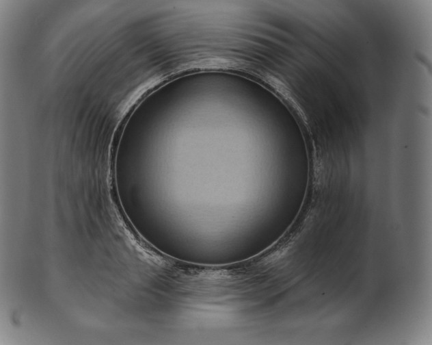 X0000101210845200807111031