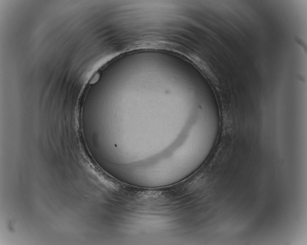 X0000101210846200807111031