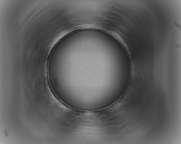 X0000101210847200807111031