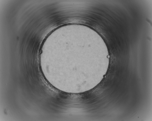 X0000101210848200807111031