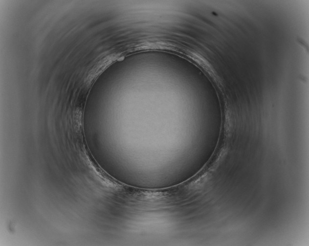 X0000101210849200807111031