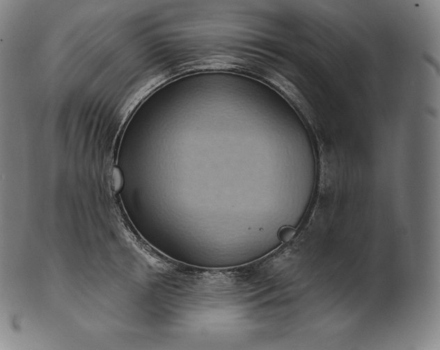 X0000101210850200807111031