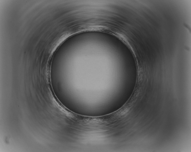 X0000101210851200807111031