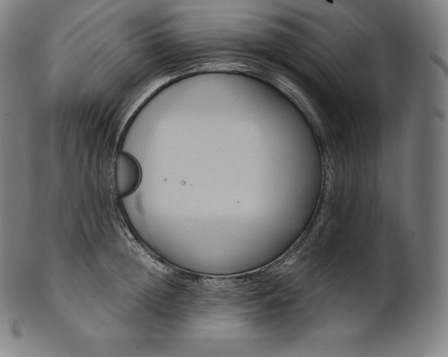 X0000101210852200807111031