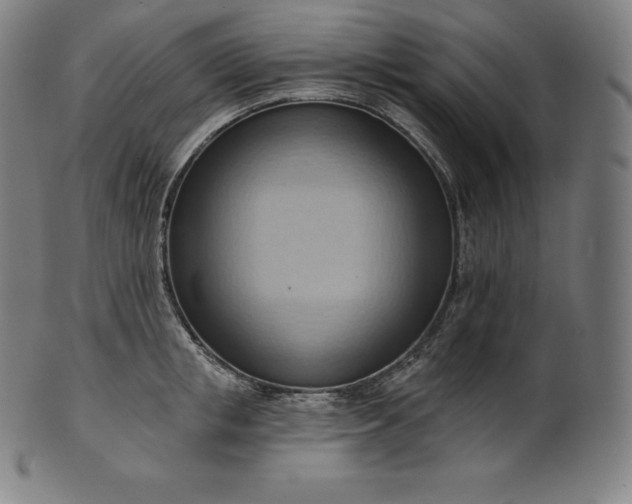 X0000101210853200807111031