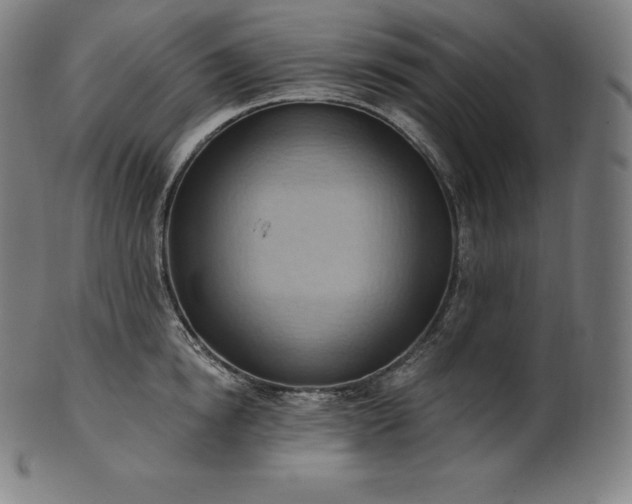 X0000101210854200807111031