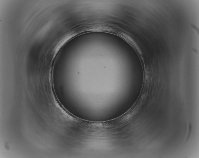 X0000101210855200807111031