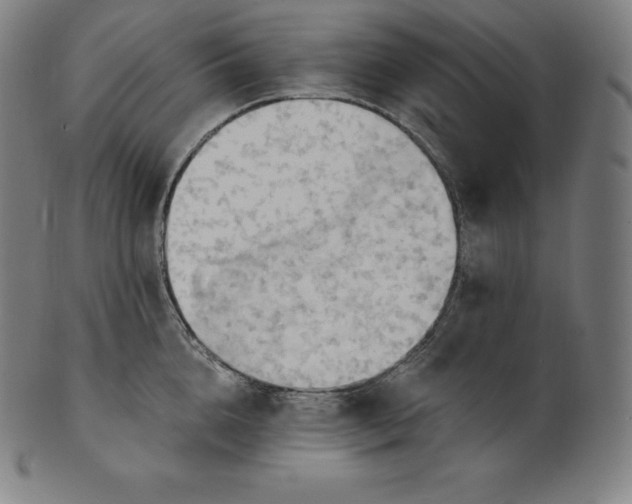 X0000101210856200807111031