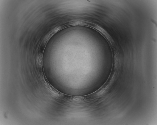 X0000101210857200807111031