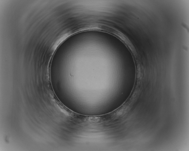 X0000101210858200807111031