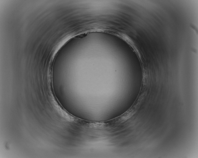 X0000101210859200807111031