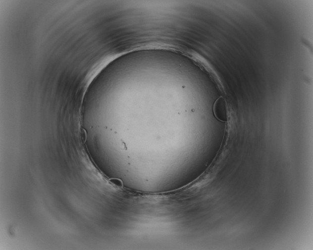 X0000101210860200807111031