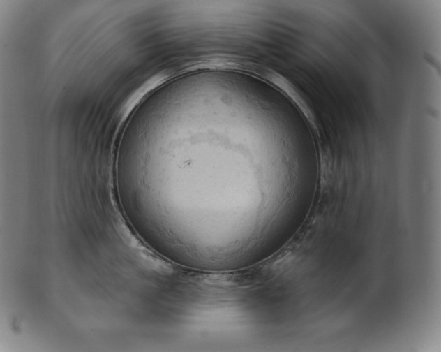 X0000101210861200807111031