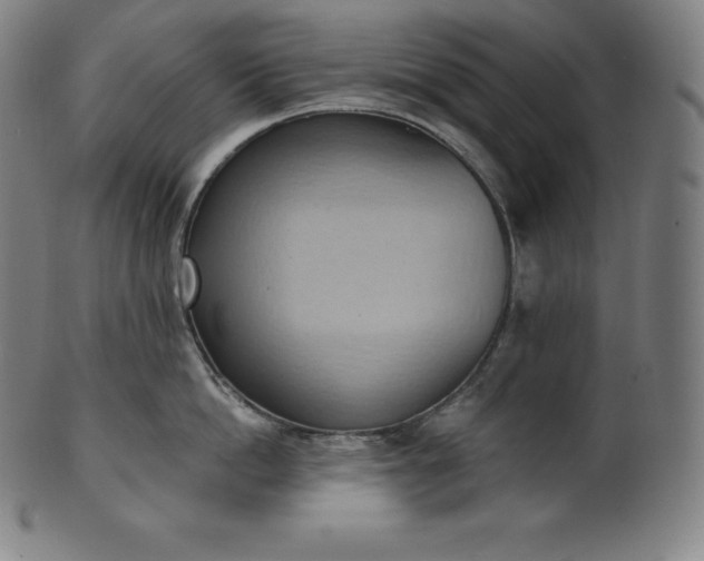 X0000101210862200807111031