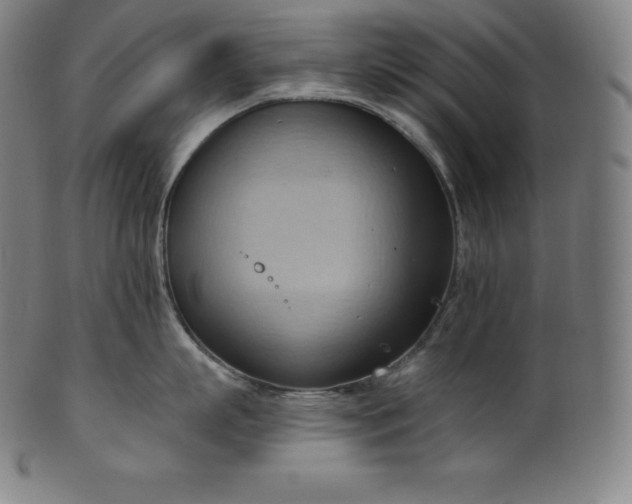 X0000101210863200807111031