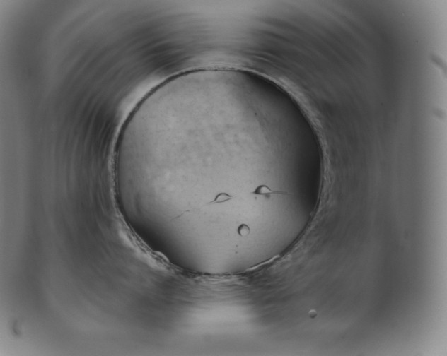 X0000101210864200807111031