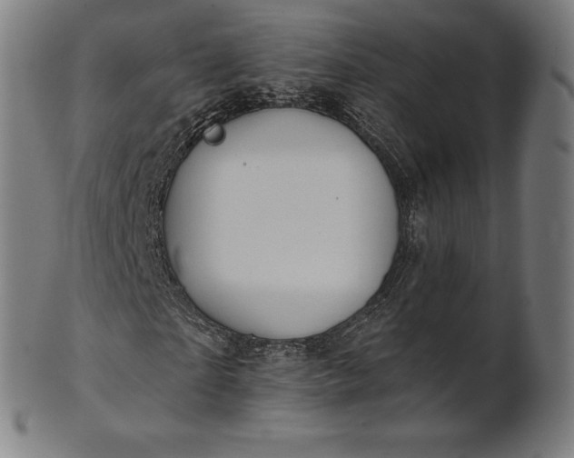 X0000101210865200807111031