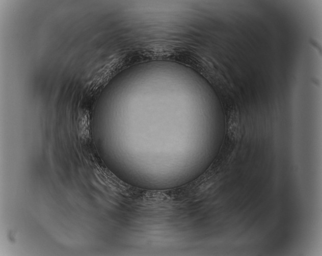 X0000101210866200807111031