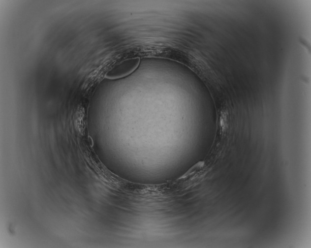 X0000101210867200807111031