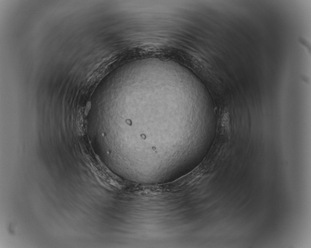 X0000101210868200807111031