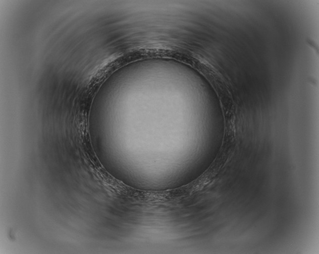 X0000101210870200807111031