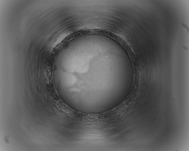 X0000101210871200807111031